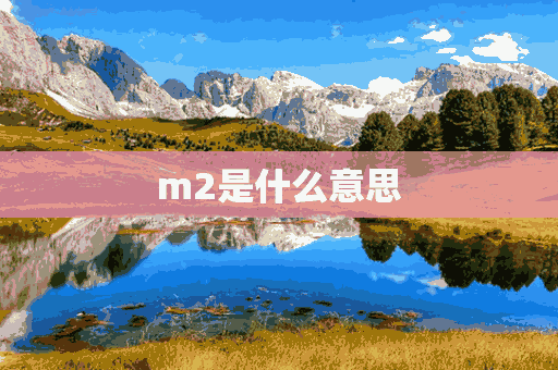 m2是什么意思